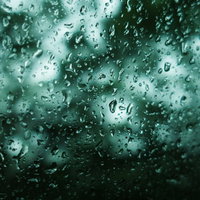 不穏な雨、深い森の中を走る窓ガラスの水滴の写真