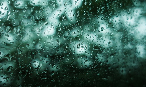 不穏な雨、深い森の中を走る窓ガラスの水滴
