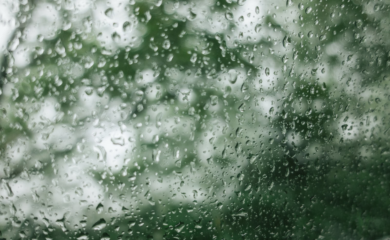 雨粒が付着した窓ガラスの表面に水滴が点在している様子
