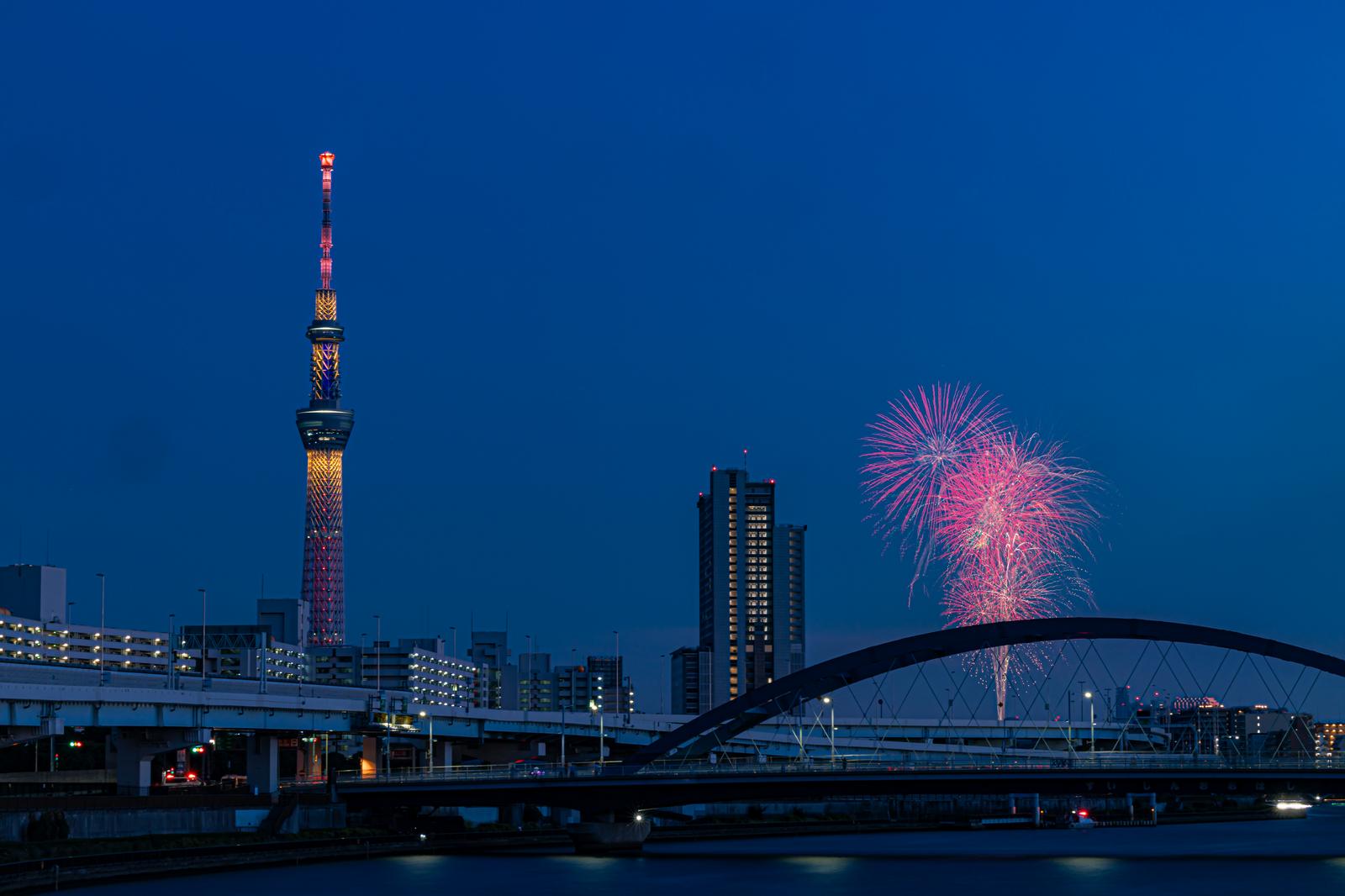 隅田川花火大会で打ち上がるピンク色の花火とライトアップされたスカイツリーの夜景