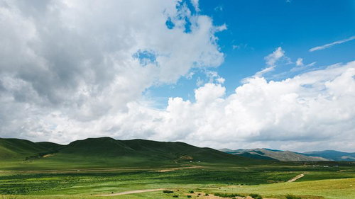 緑豊かな丘陵地帯が果てしなく続くモンゴルの草原