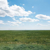 緑の草原が地平線まで果てしなく続くモンゴルの大草原の写真