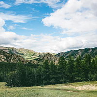 モンゴルの壮大な山々と緑豊かな森林の写真