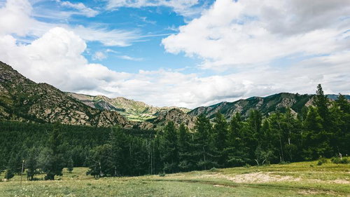 モンゴルの壮大な山々と緑豊かな森林