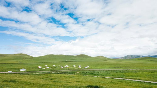 緑の大地に点在するモンゴルの伝統的な住居