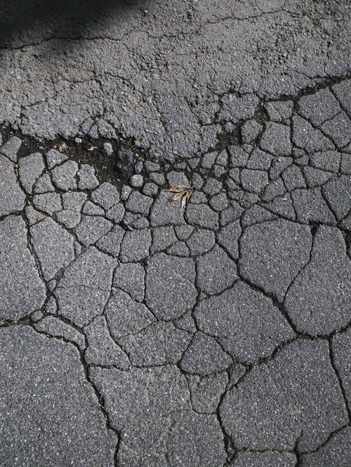 ひび割れたアスファルトに落ちた枯葉のテクスチャー