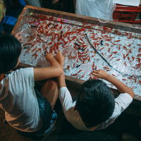 金魚すくいに熱中する子どもたち、夏祭りの出店での一場面の写真