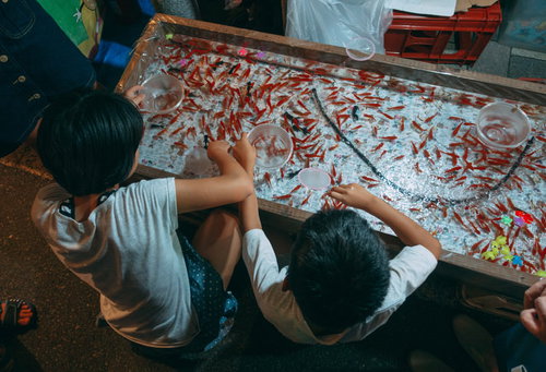 金魚すくいに熱中する子どもたち、夏祭りの出店での一場面