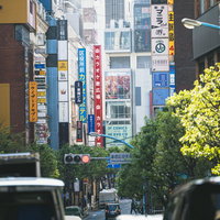 新宿区役所通り沿いに立ち並ぶ突出し看板の街並みの写真