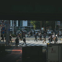 夜の新宿、高架下から見る横断歩道を渡る人混みの写真