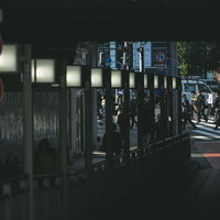 新宿の左折専用レーンと横断歩道の道路標示の写真