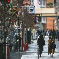 新宿の歩道沿いに植えられた街路樹と横断歩道の写真
