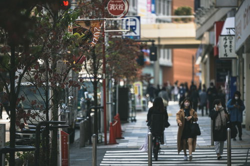新宿の歩道沿いに植えられた街路樹と横断歩道