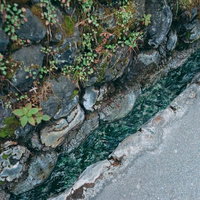 温泉成分で緑色に変色した側溝と石垣の風景の写真