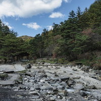草津温泉西の河原公園を囲む渓流沿いの木々の写真