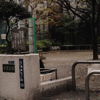 鳩が多くて困っている千草公園の広場に立つ警告文の看板の写真