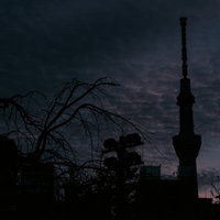 日没後のスカイツリーと周辺建物のシルエットの写真
