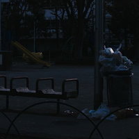 公園に設置されたゴミ箱から溢れるゴミと不法投棄の写真