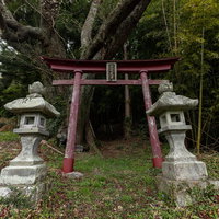 赤い鳥居と大和田稲荷神社の子授け櫻へ続く道の写真