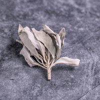 グレーの石に置かれた乾燥したセージの葉と茎の質感の写真