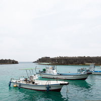 堤防に停泊する白い漁船の写真