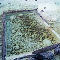 草津温泉・湯畑の将軍御汲上の木製湯枠と源泉の写真