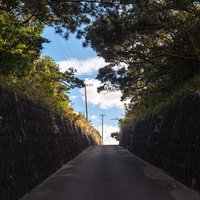 緑の木々に囲まれた上り坂から見える青空と道路の写真