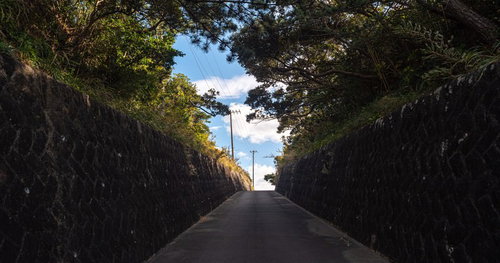 緑の木々に囲まれた上り坂から見える青空と道路
