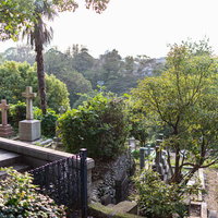 木々が茂る横浜外国人墓地の歴史ある墓所と秋の風景の写真