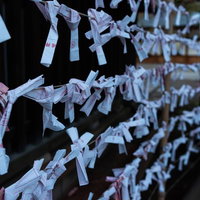 神社の境内に結ばれたおみくじ - 参拝者の祈願が込められた伝統風景の写真