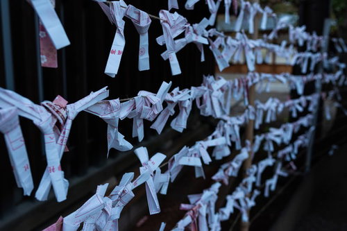 神社の境内に結ばれたおみくじ - 参拝者の祈願が込められた伝統風景