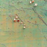 コンクリートの擁壁に張り付く枯れ葉のテクスチャーの写真