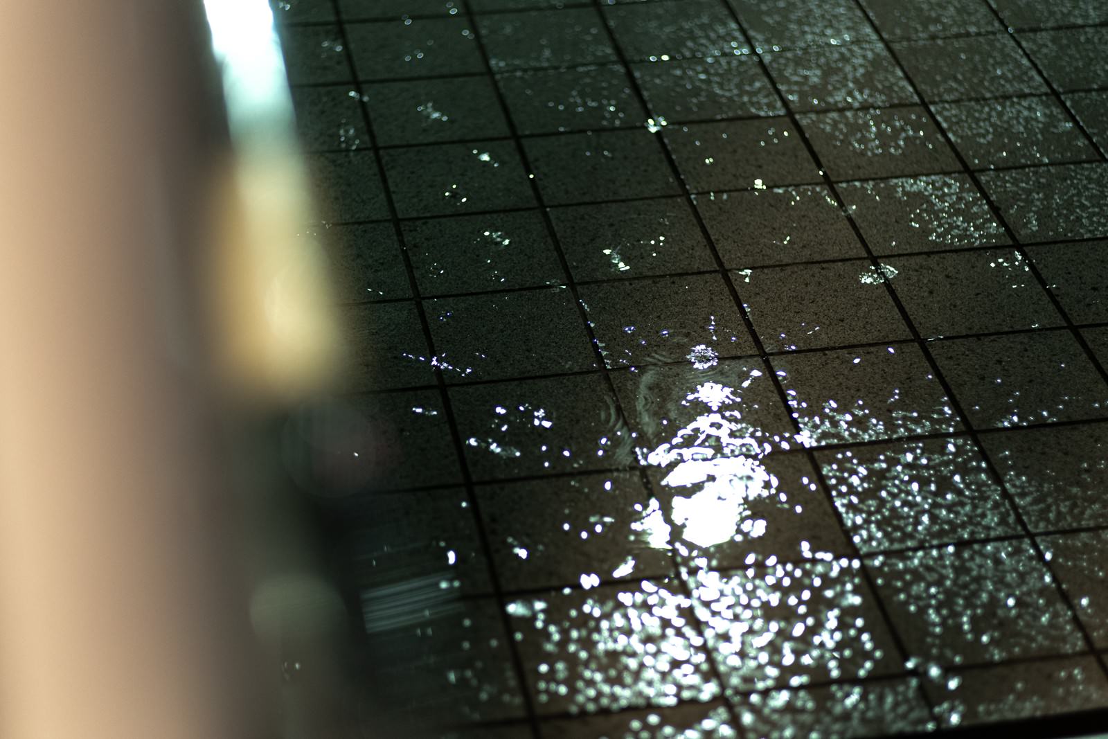 雨に濡れて光を反射するタイルの表面