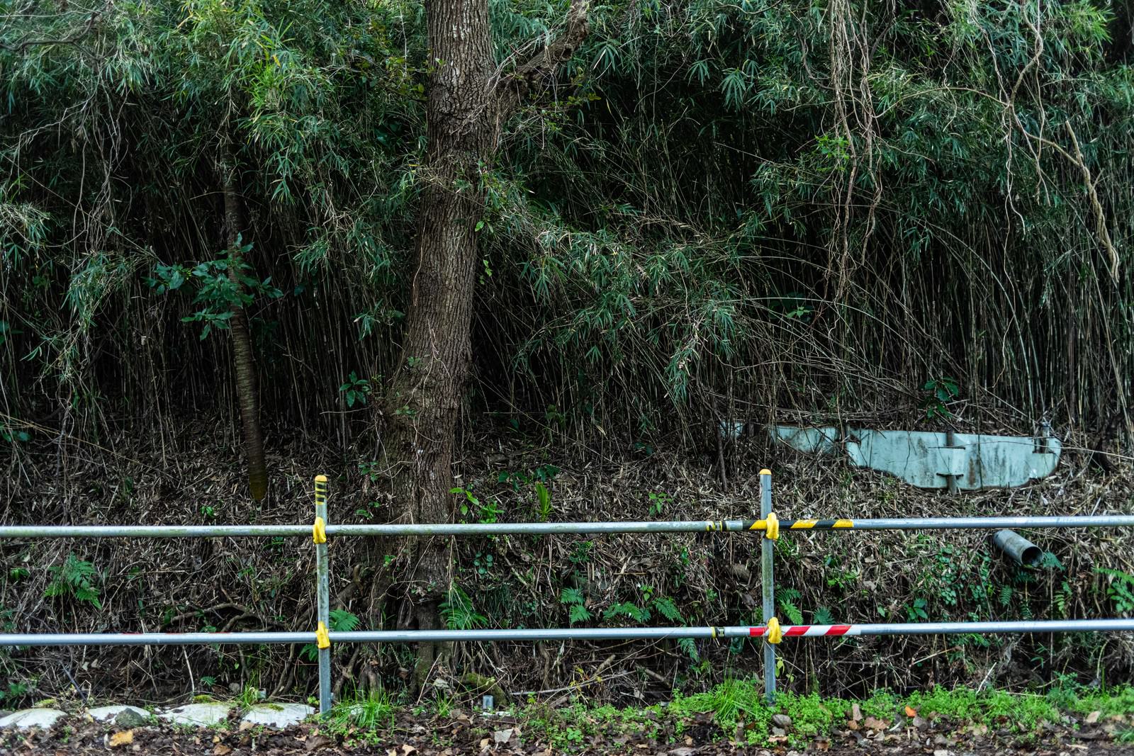 金属製の柵の向こう側に緑の草木が生い茂る自然風景