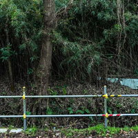 柵の向こうの草むらと自然な風景の写真