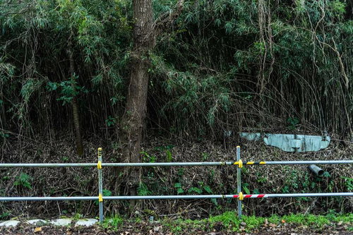 柵の向こうの草むらと自然な風景