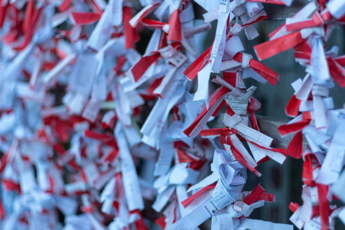神社の境内に結ばれた大量のおみくじと木の枝