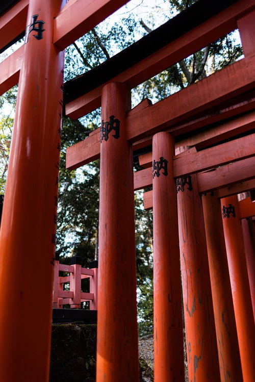 伏見稲荷の参道に連なる朱の鳥居が奥へと続く神聖な空間