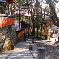 伏見稲荷の足利稲荷大明神横を下る朱色の鳥居と石段の写真