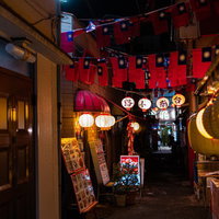 夜間に明かりが灯る台南小路の提灯と路地裏の写真