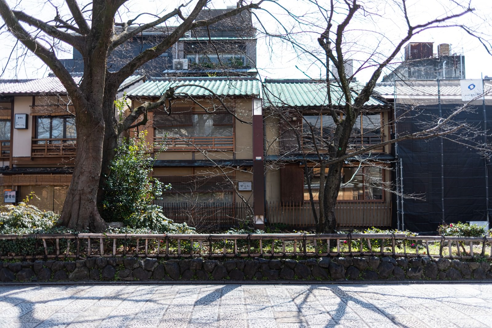 京都祇園の石畳の道沿いに建つ日本家屋と、その上に伸びる木々の枝