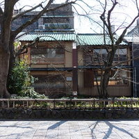 京都祇園の石畳にのびる木々と日本家屋の街並みの写真