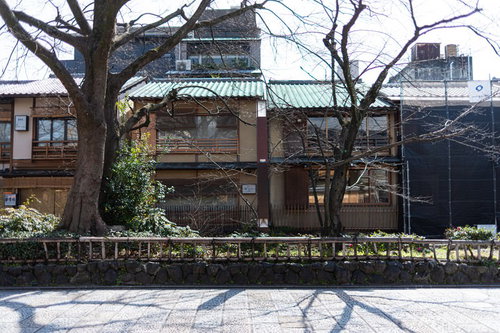 京都祇園の石畳にのびる木々と日本家屋の街並み