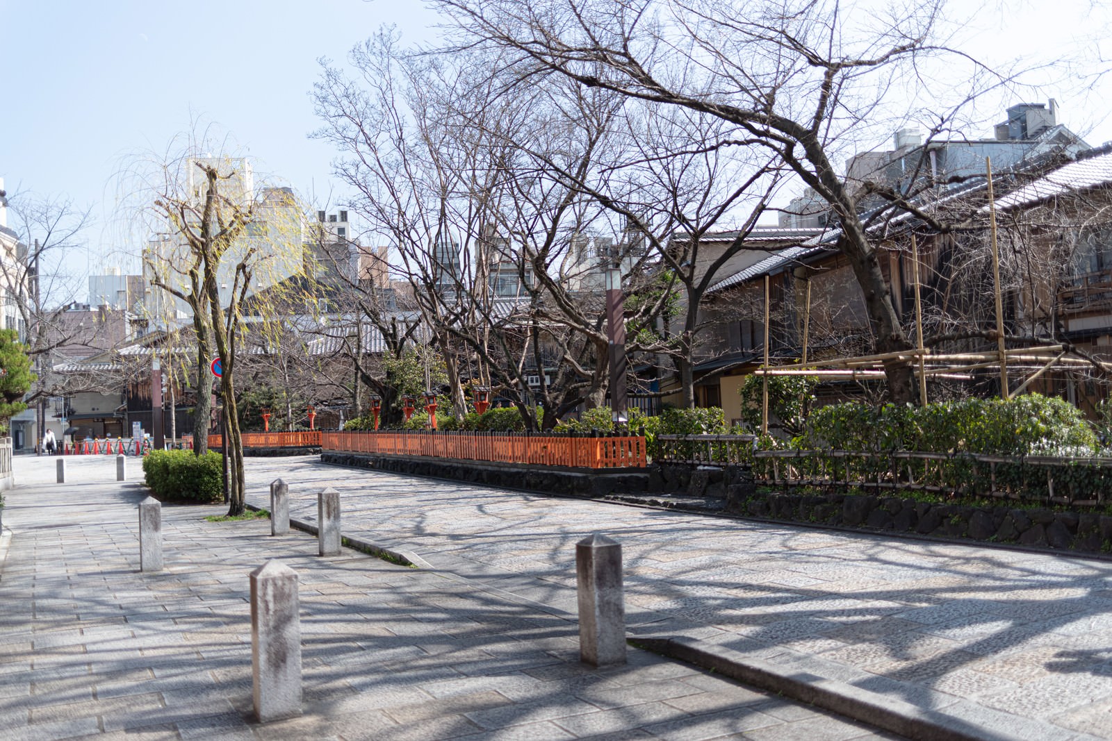 祇園の石畳が敷かれた歩道に葉を落とした木々と石柱が並ぶ風景