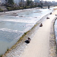 京都の鴨川で昼時にデートするカップルたちの写真