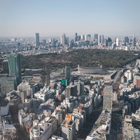 渋谷スクランブルスクエアから見た代々木公園の街並みの写真