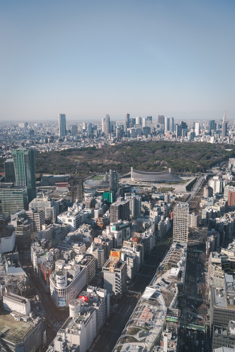 渋谷スクランブルスクエアの展望台から撮影した代々木公園の全景