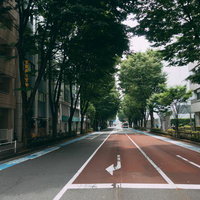 新井交差点付近の道路から見た東京都中野区の街並みの写真