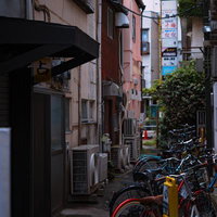 路地裏から見る飲み屋街の55番地と自転車駐輪の写真