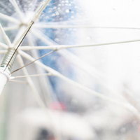 雨粒がついたビニール傘の骨組みの写真